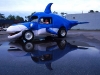 17.Dolphin4.jpg