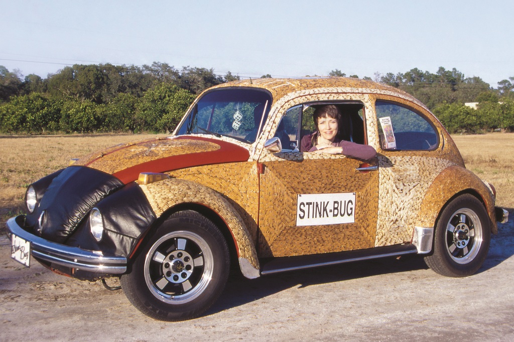 Stink Bug - covered in Cigarette Butts
