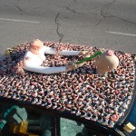 Chewbaru - a tribute to Dental Hygene and Dentures!
